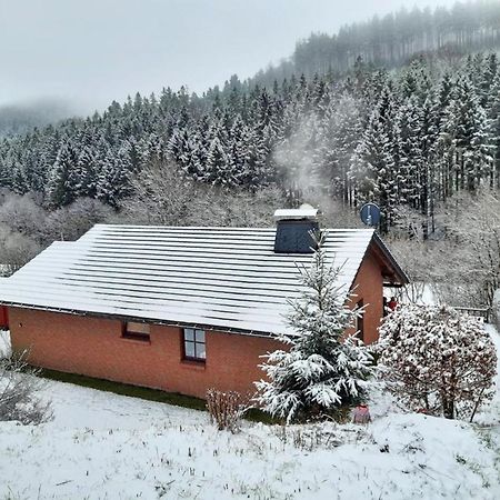 Ferienhaus Becker Willingen  Buitenkant foto